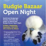 NEBS Budgie Bazaar