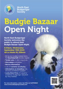 NEBS Budgie Bazaar