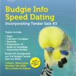 NEBS October Meeting Speed Dating Budgies