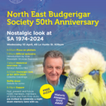 NEBS 50th Anniversary, North East Budgerigar Society